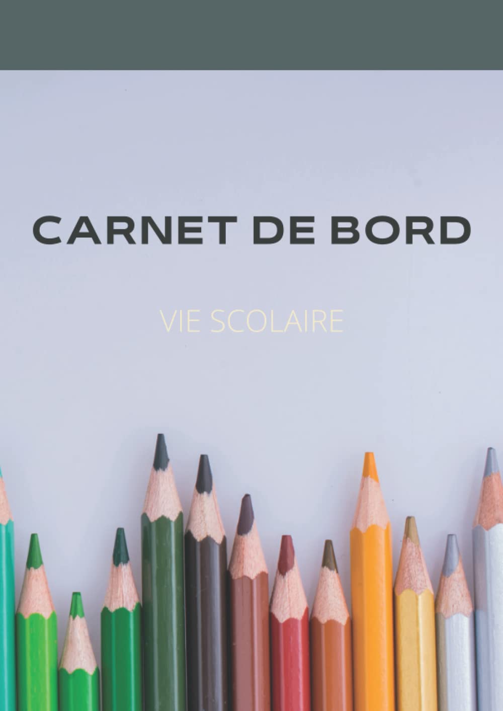 Carnet de Bord - Vie Scolaire / Informations quotidiennes au sein de la Vie Scolaire / CPE et AED book