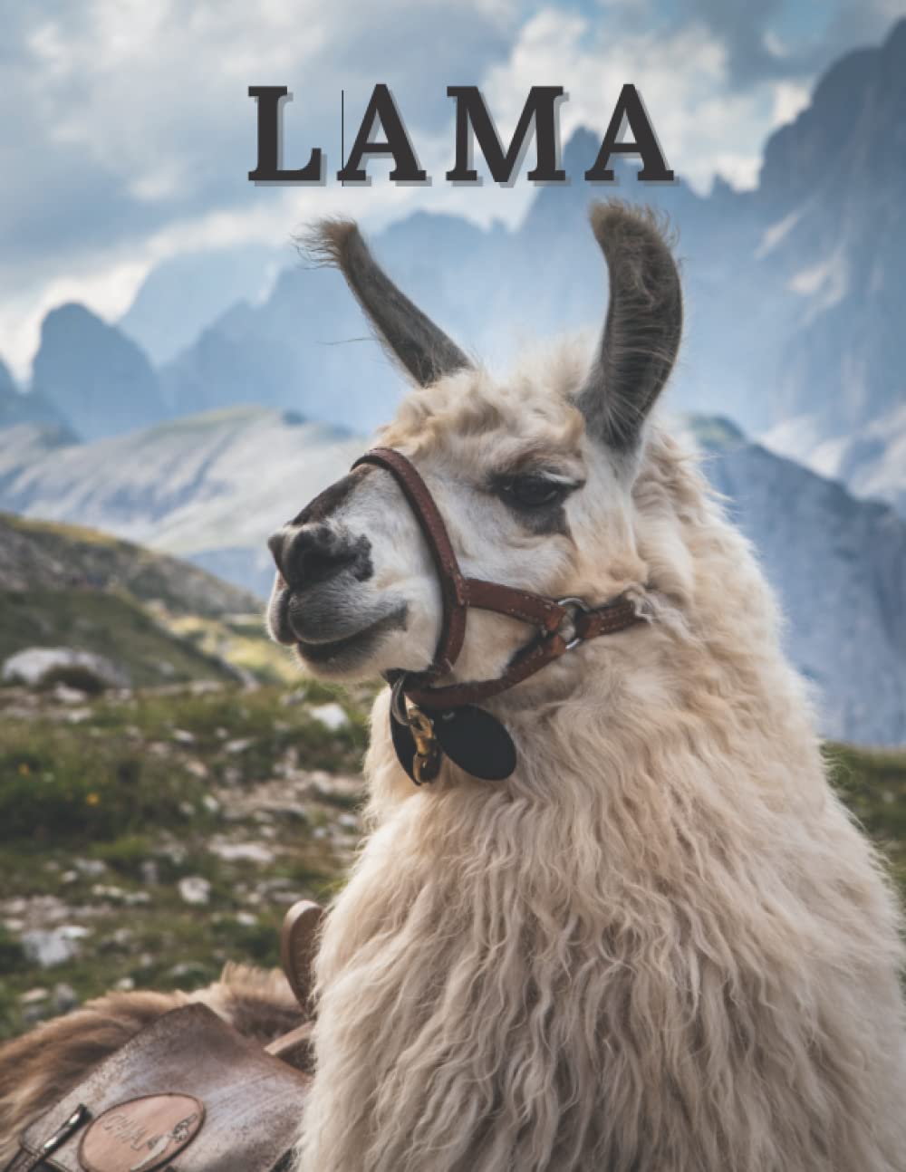 Lama: Livre d'images de lamas pour les personnes âgées, les adultes atteints de démence et les patients ayant des pertes de mémoire. book