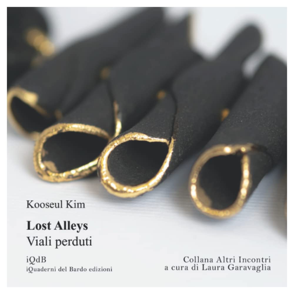 Lost Alleys ‐ Viali perduti (Collana Scritture Incontri a cura di Laura Garavaglia per iQdB ed., Band 7) Poetry