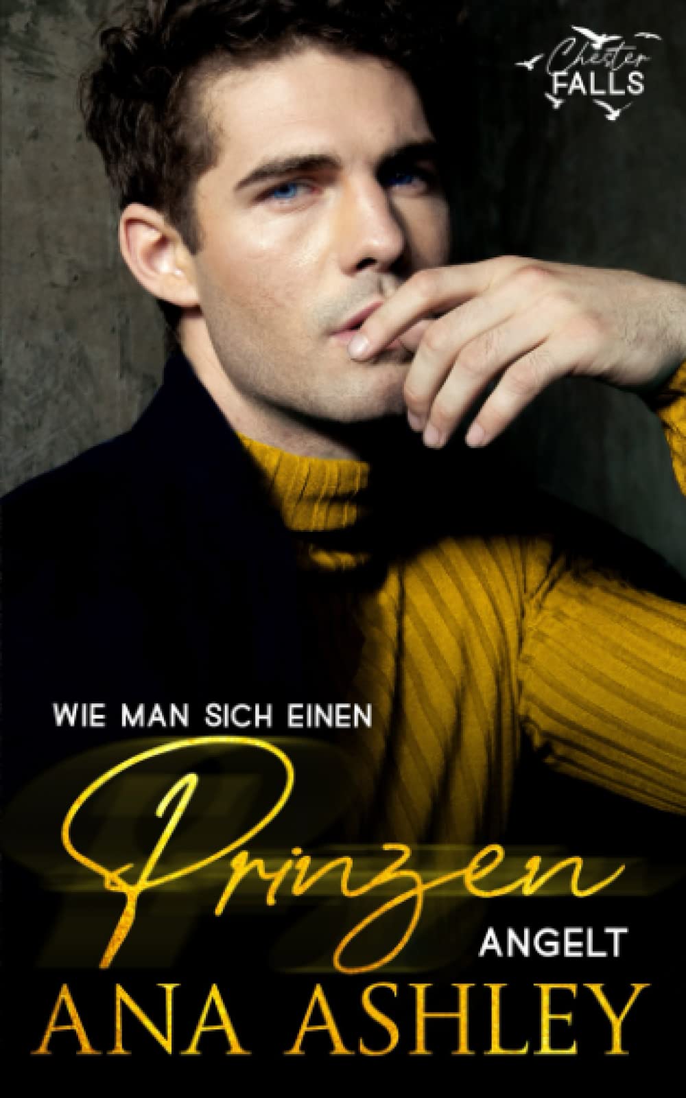 Wie man sich einen Prinzen angelt: Eine fake Boyfriend MM-Romanze (Chester Falls, Band 1) LGBTQ+