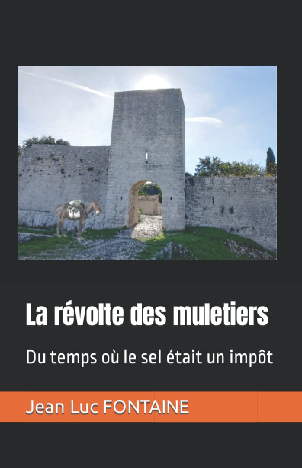 La révolte des muletiers: Du temps où le sel était un impôt Historical Fiction