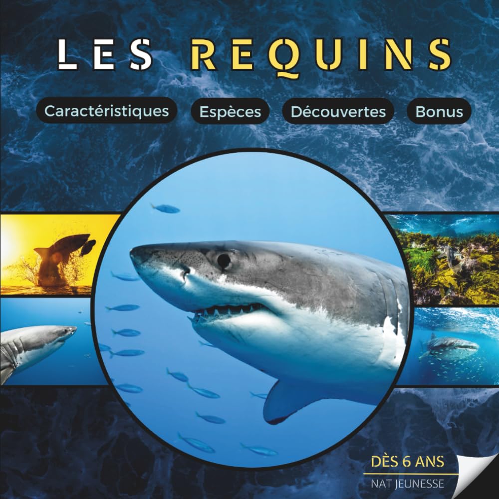 Les Requins: Livre documentaire animalier sur les requins pour les enfants à partir de 6 ans Non-fiction