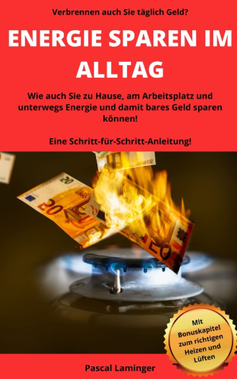 ENERGIE SPAREN IM ALLTAG: Wie Energie zu Hause, am Arbeitsplatz und unterwegs und damit bares Geld gespart werden kann! Eine Schritt-für-Schritt-Anleitung! Home & Household