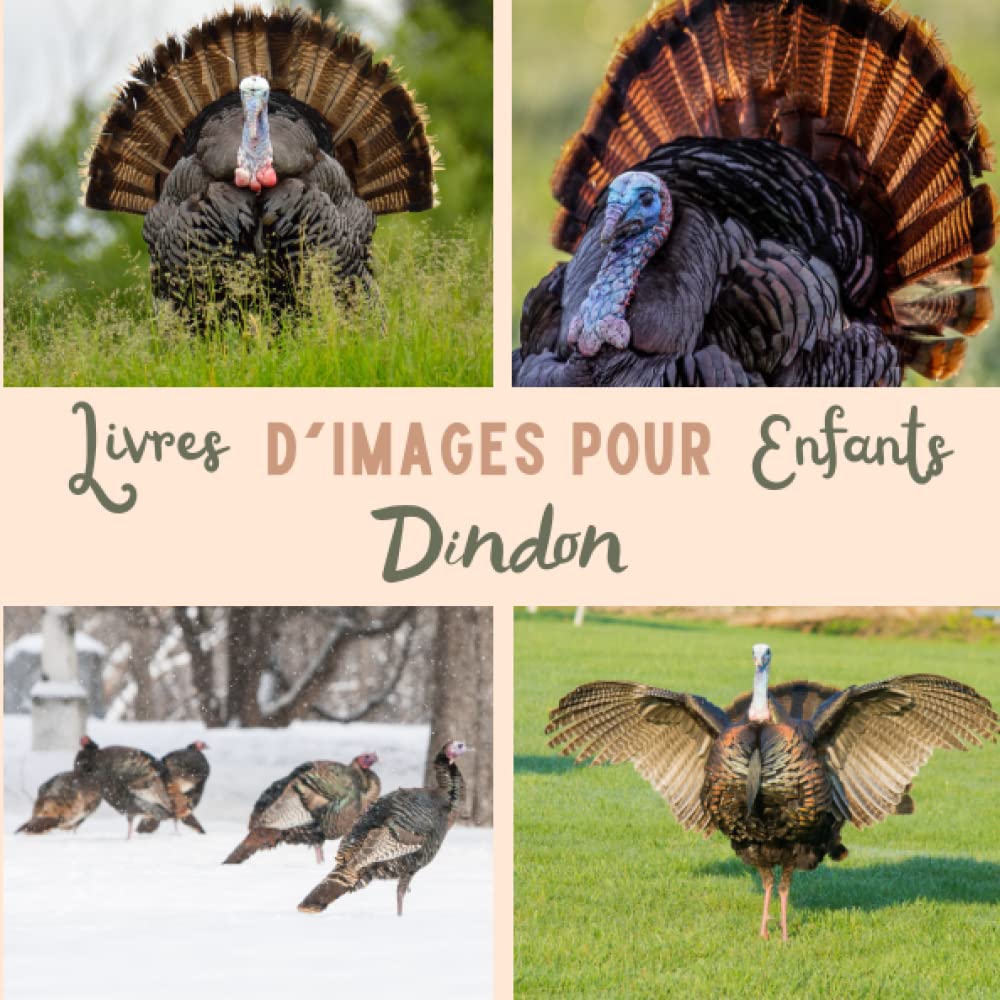 Livre d'images pour enfants - Dindon: Découvrir le Dindon en image - Enfants de 2 à 5 ans Non-fiction