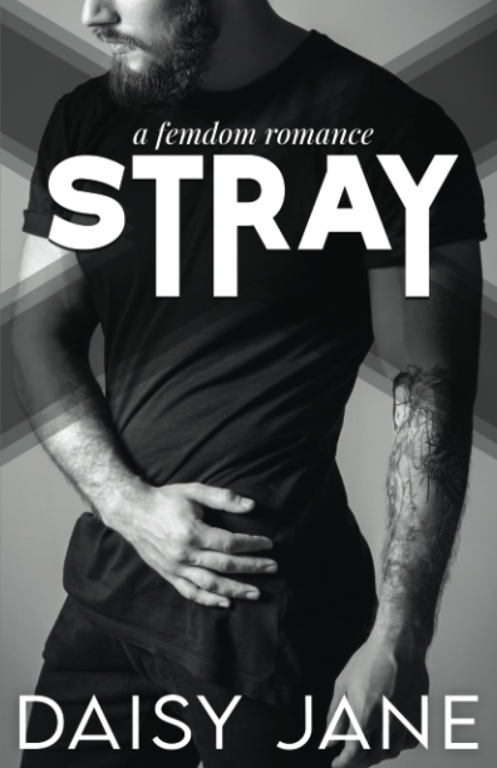 Stray: A Femdom Romance book