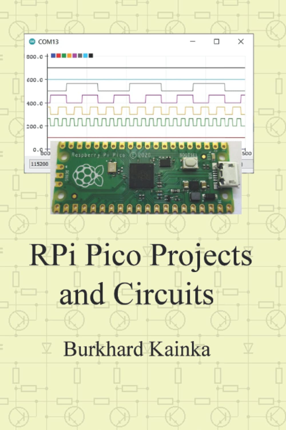 RPi Pico Projects and Circuits Business & Technology Books
