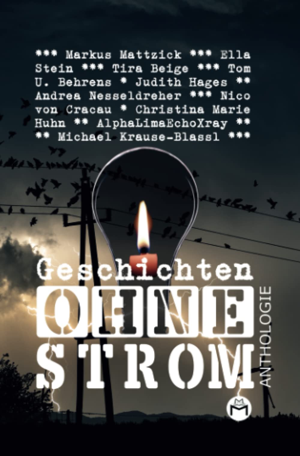 Geschichten Ohne Strom - Anthologie Contemporary literature