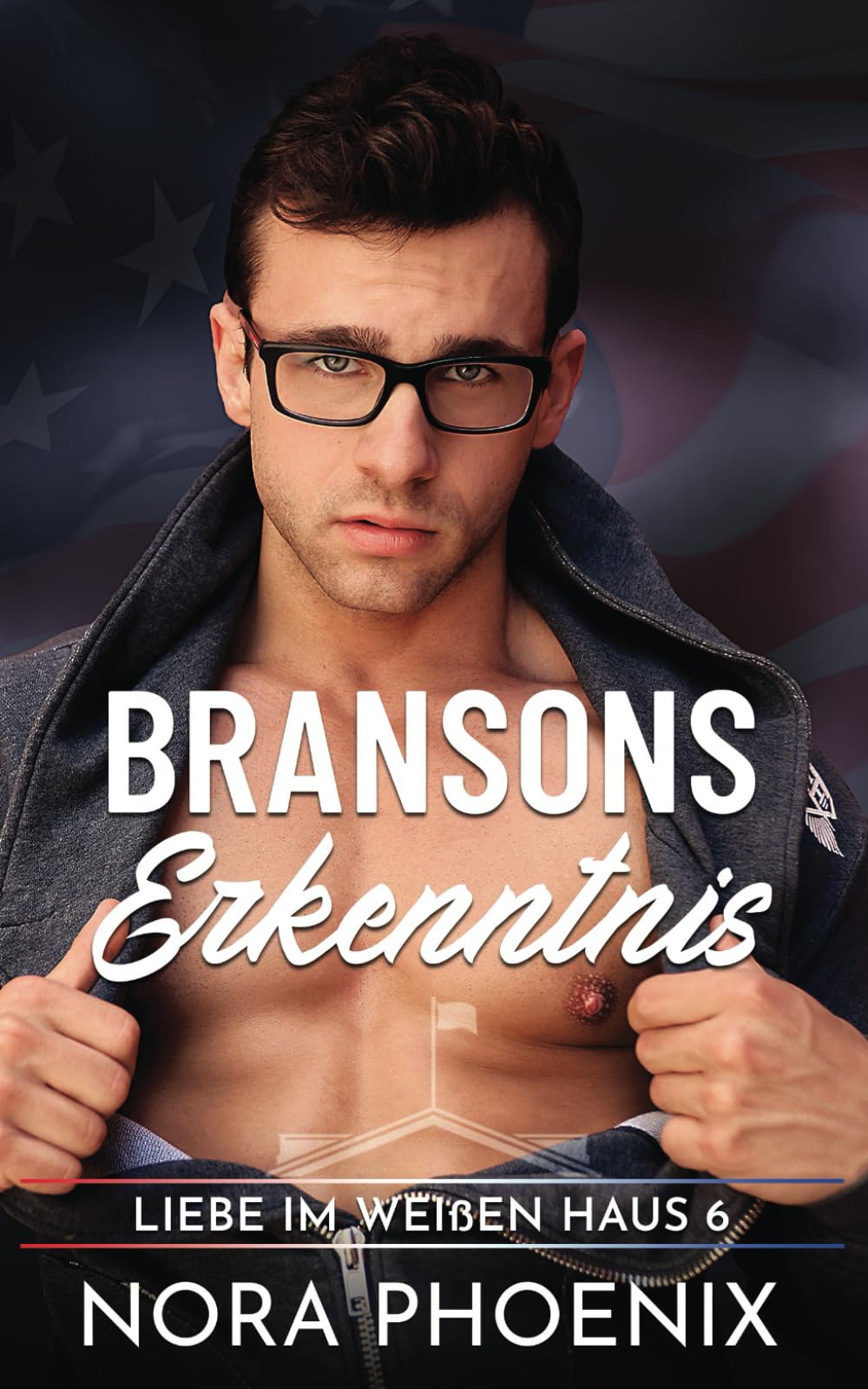 Bransons Erkenntnis (Liebe im Weißen Haus, Band 6) LGBTQ+