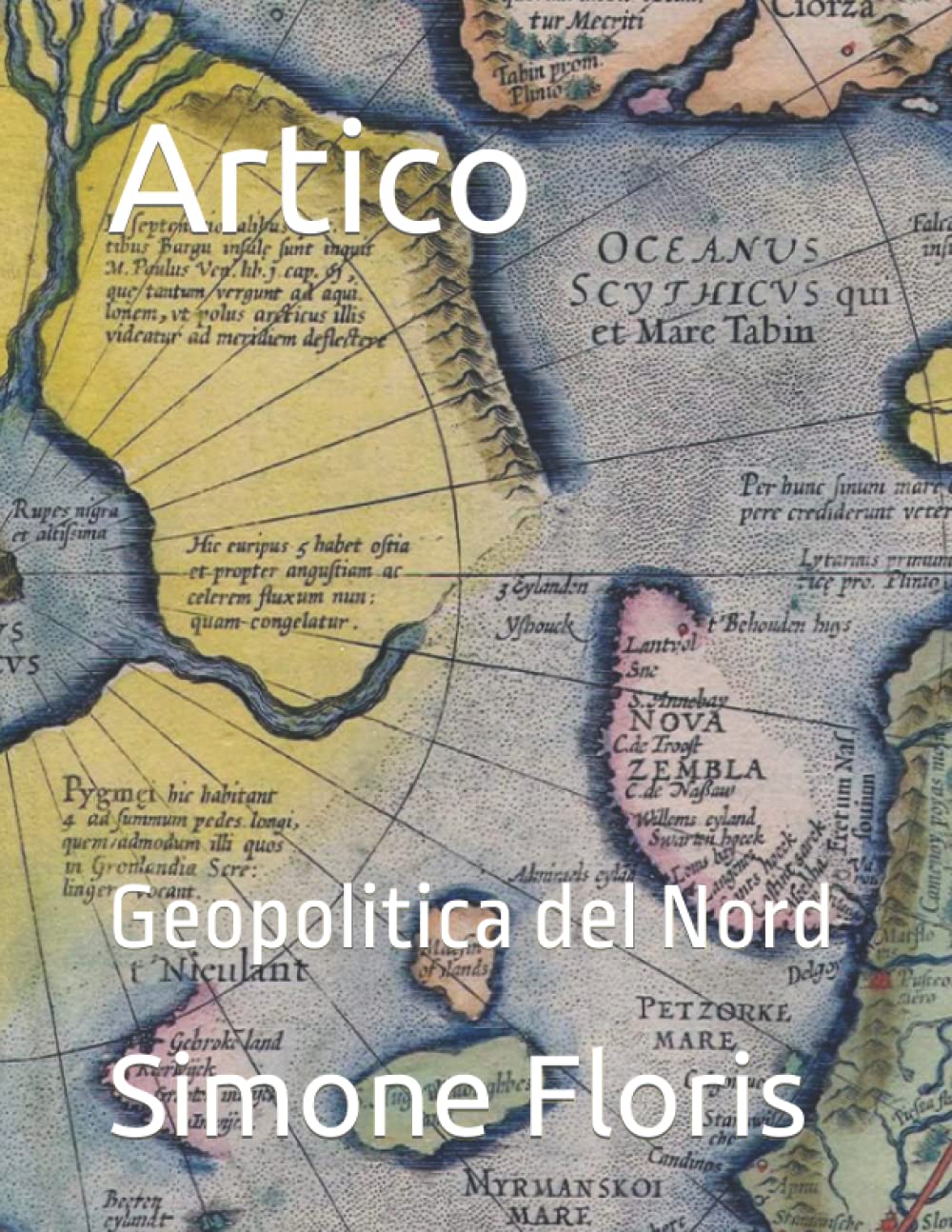 Artico: Geopolitica del Nord Politics & History