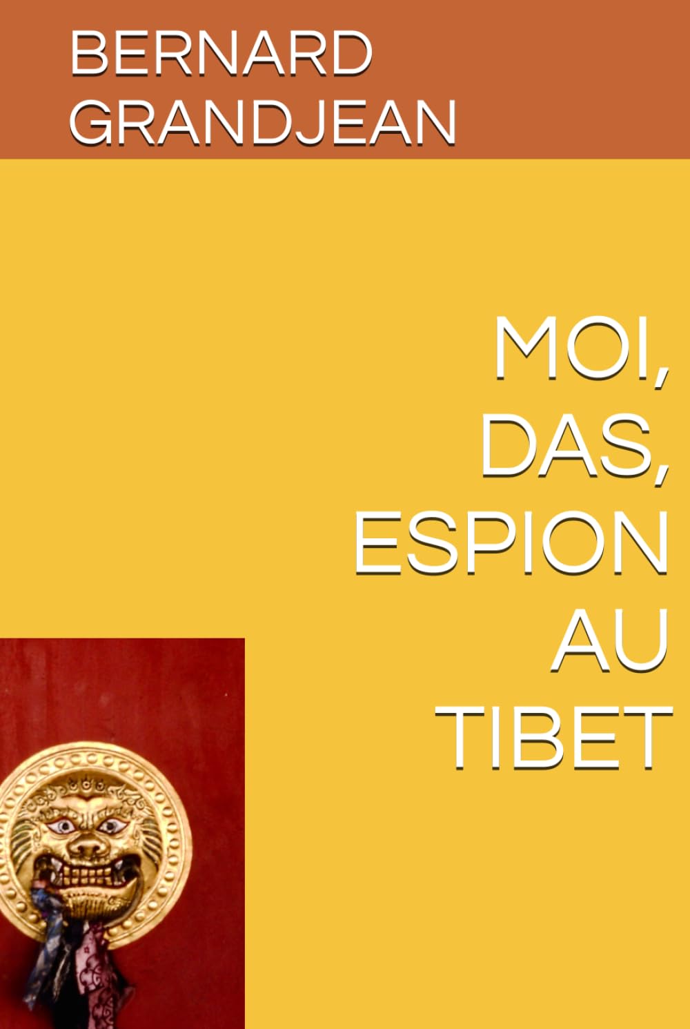 MOI, DAS, ESPION AU TIBET book