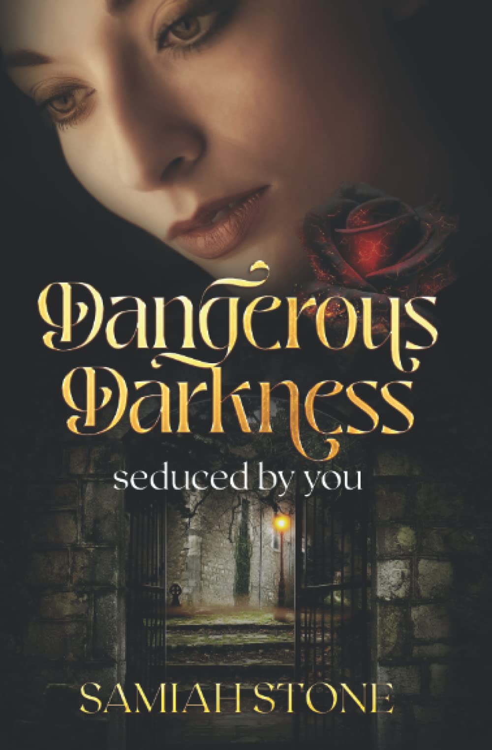 Dangerous Darkness: seduced by you Contemporary literature Books
