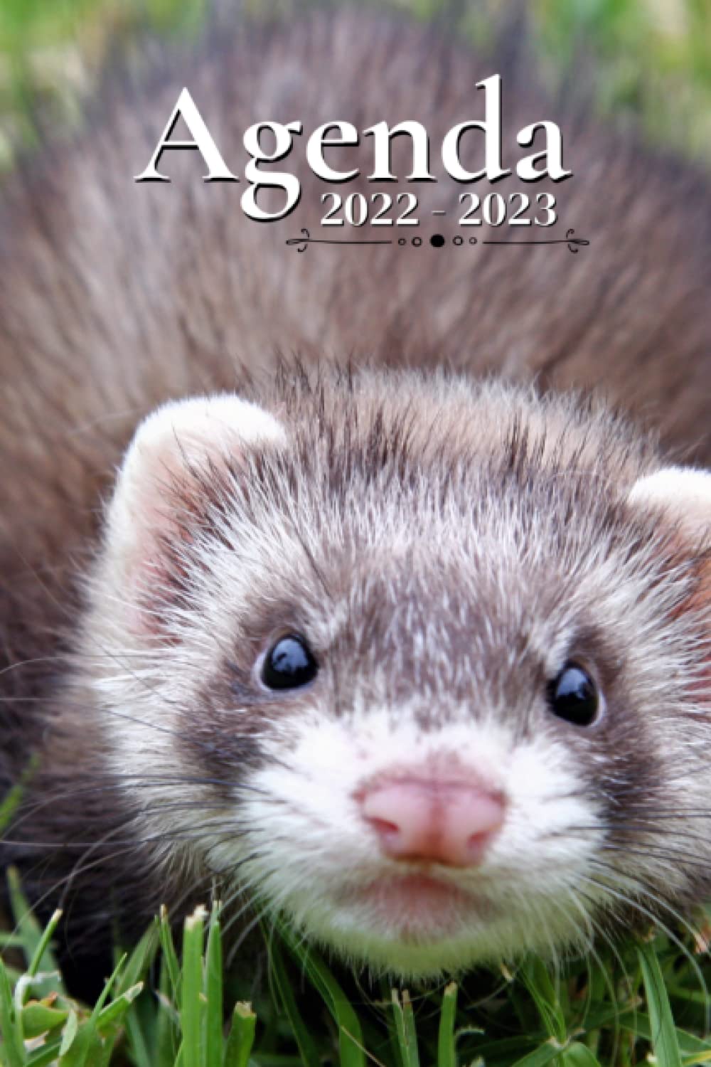 Agenda Scolaire 2022-2023: Furet | Semainier au format A5 pour les étudiants, professionnels et particuliers (Septembre 2022 à Juillet 2023) book