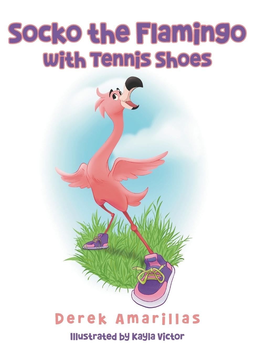Socko the Flamingo with Tennis Shoes Non-fiction