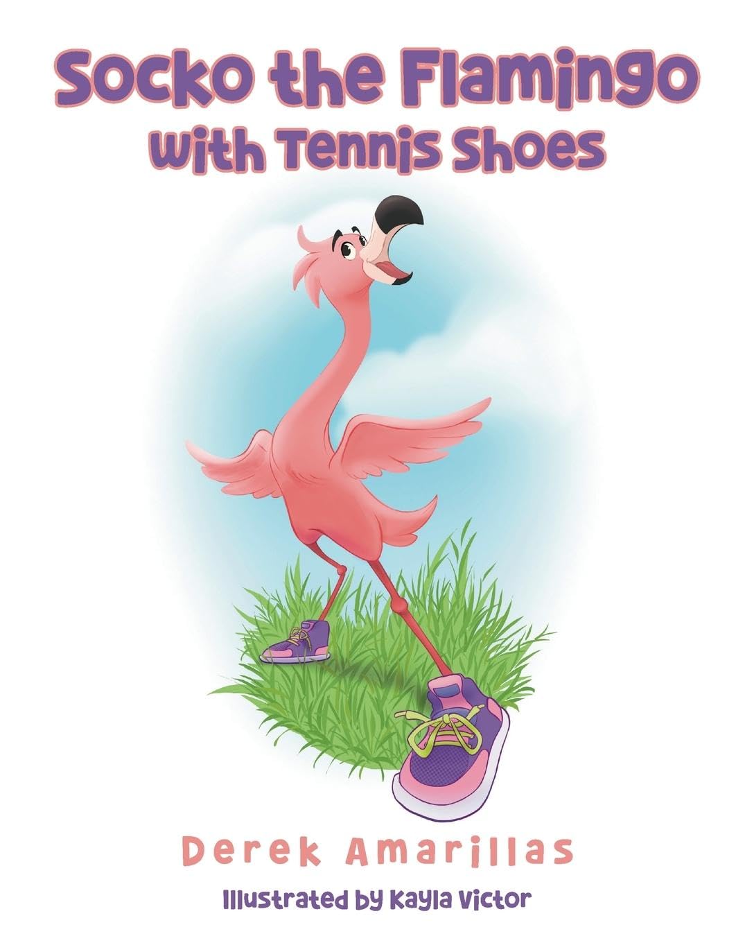 Socko the Flamingo with Tennis Shoes Non-fiction