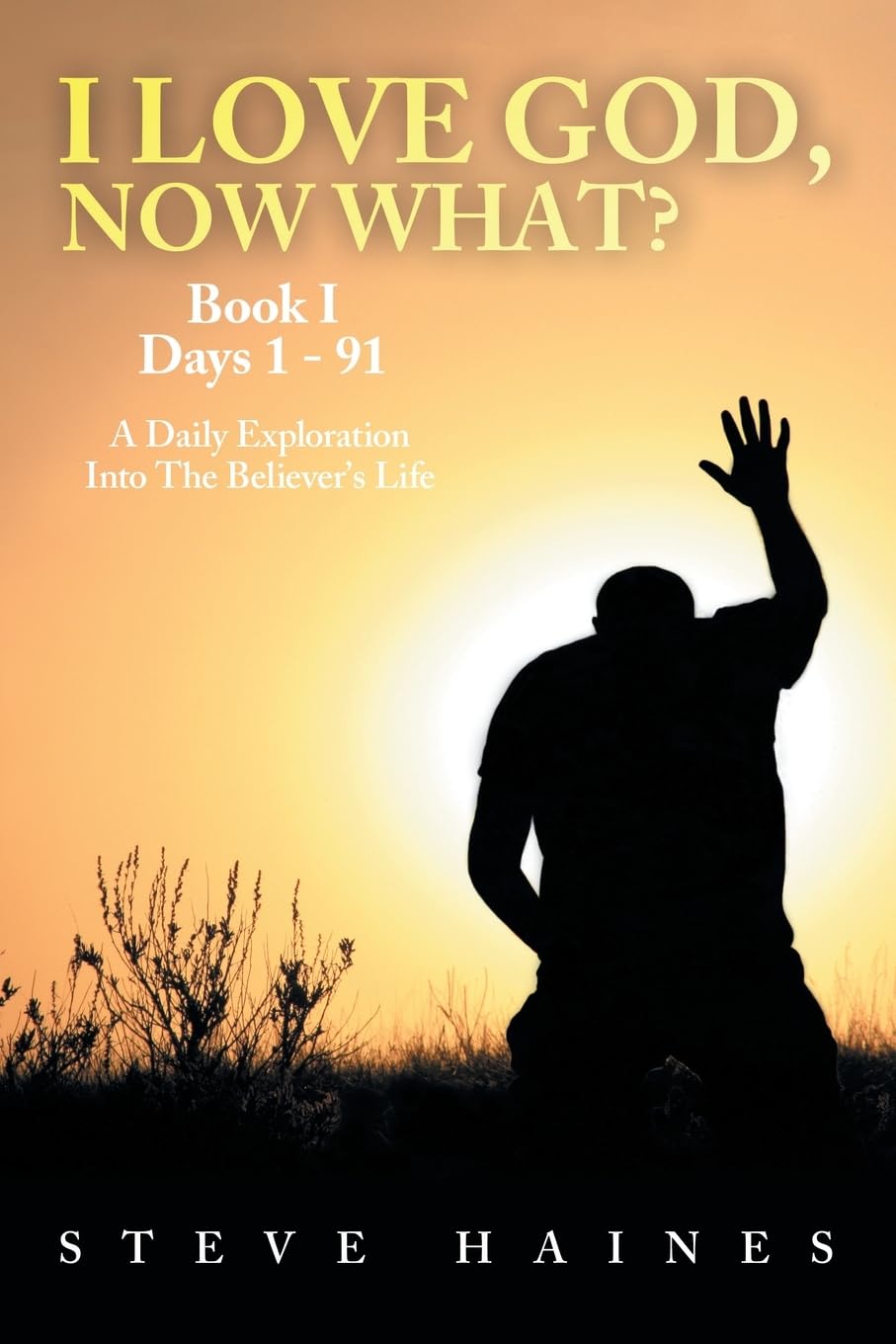 I LOVE GOD, NOW WHAT? Book I Days 1 - 91 Business, Finance & Career