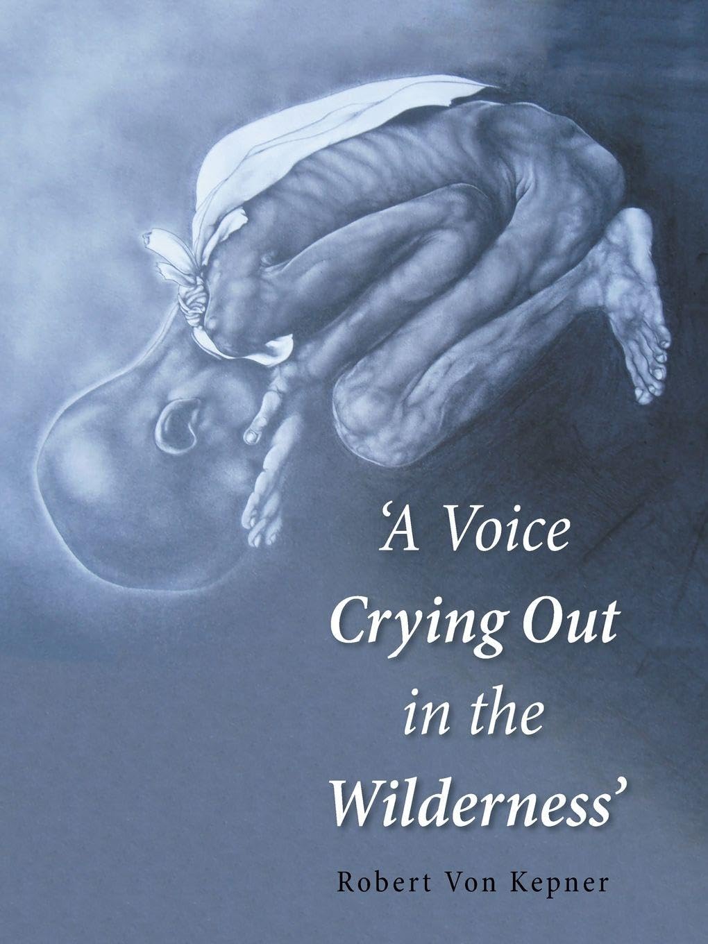 'A Voice Crying Out in the Wilderness' Religion & Esotericism