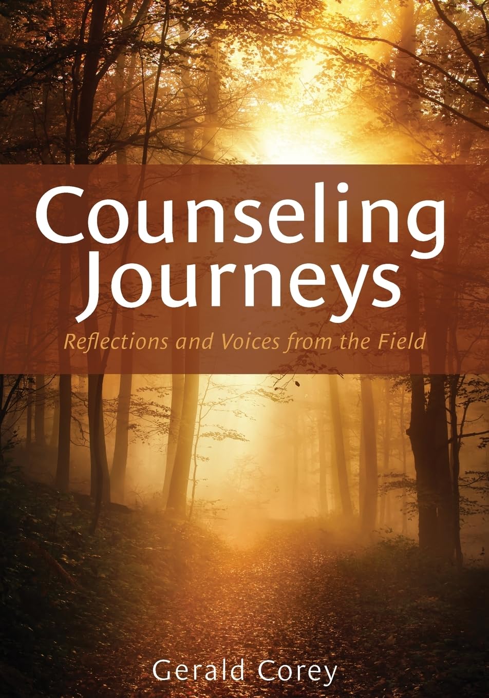Product Image: Counseling Journeys