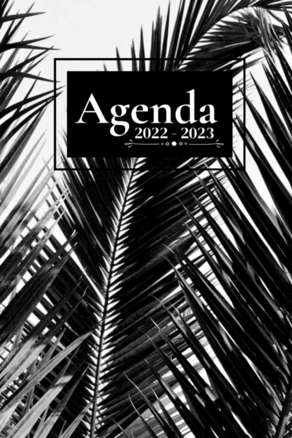 Agenda Scolaire 2022-2023: Semainier au format A5 pour les étudiants, professionnels et particuliers (Septembre 2022 à Juillet 2023) book