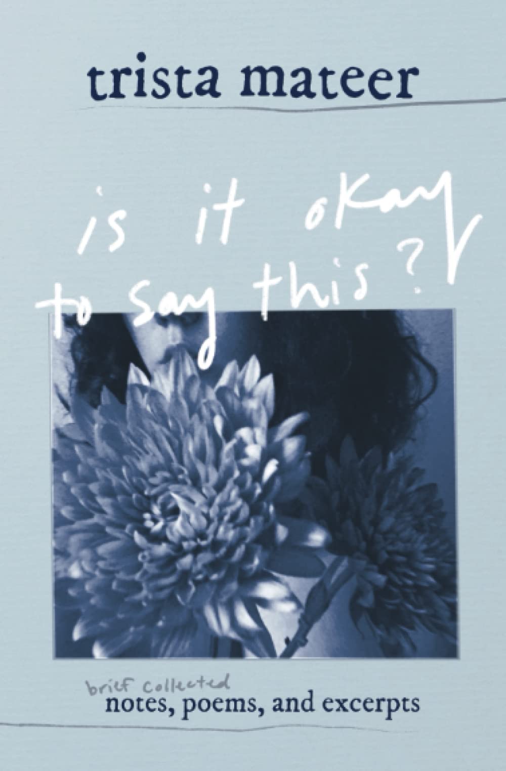 is it okay to say this?: brief collected notes, poems, and excerpts book