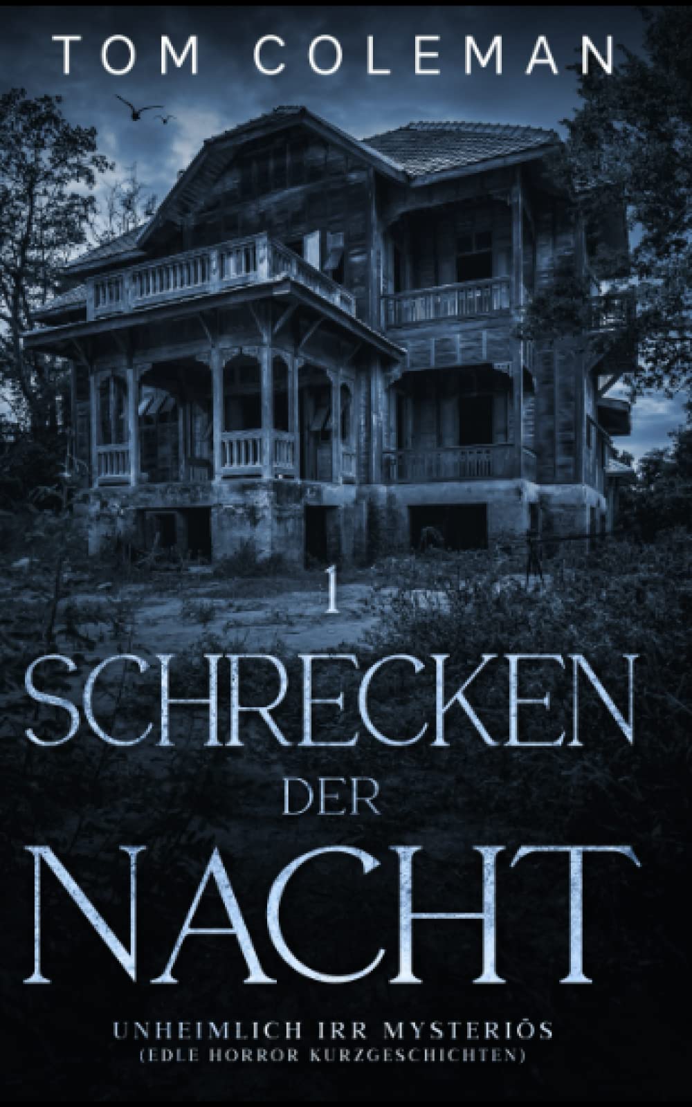 Schrecken der Nacht 1: Unheimlich Irr Mysteriös - Edle Horror Kurzgeschichten Essays & Short Stories