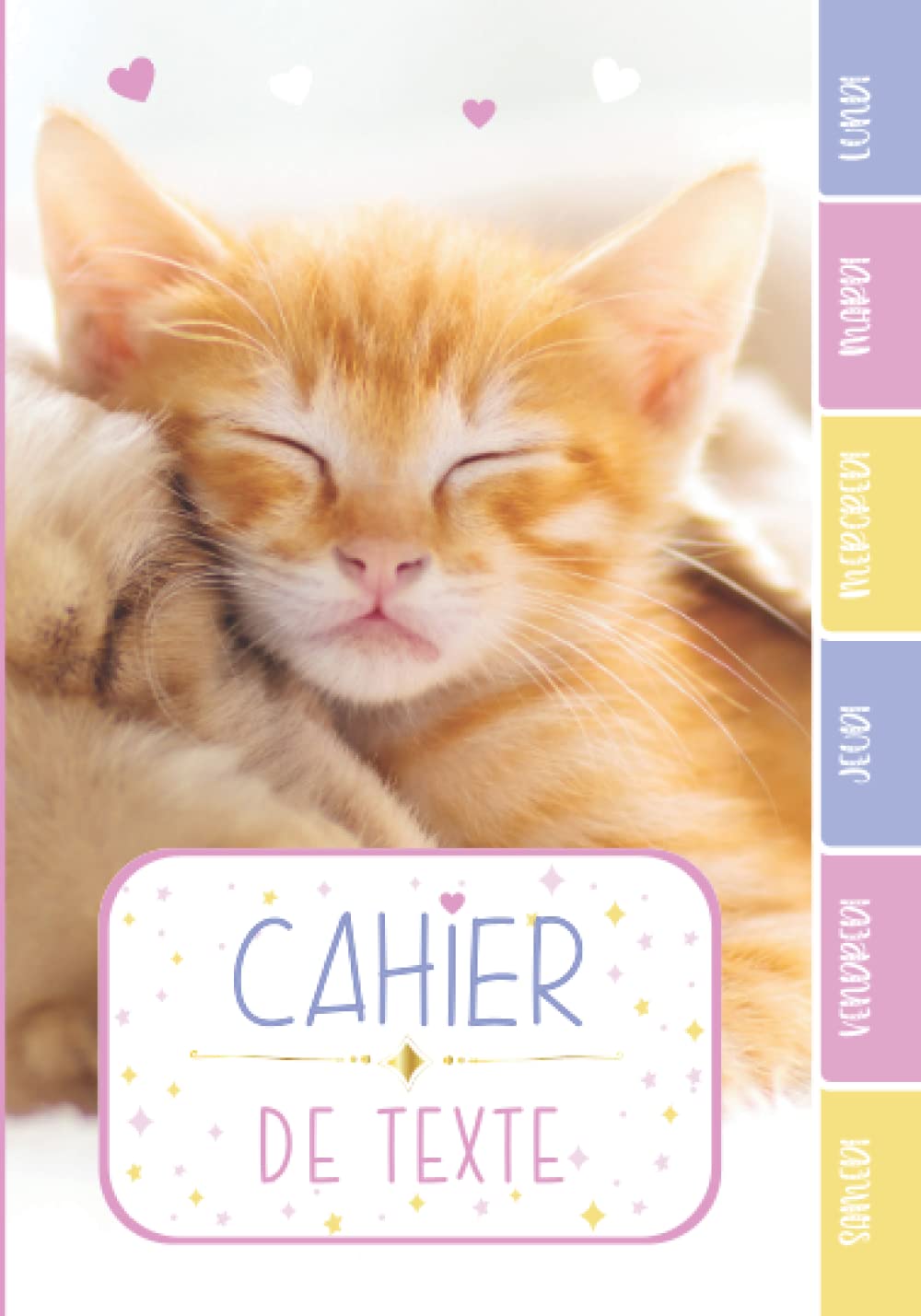 CAHIER DE TEXTE: Chats chatons relax animaux félins avec coloriages - Réglure Séyes pour garcon fille en primaire cp ce1 ce2 cm1 cm2 collège | Noter ... pour une année scolaire réussie. Non-fiction