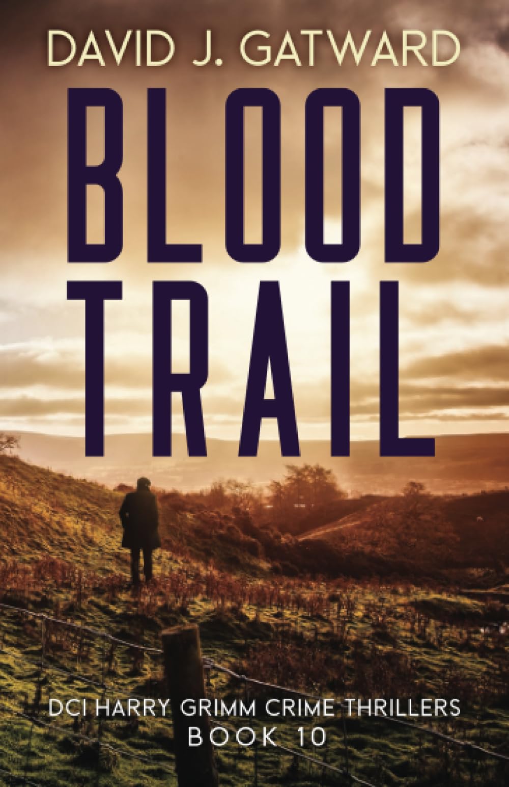 Blood Trail: A Yorkshire Murder Mystery (DCI Harry Grimm Crime Thrillers 10) Detective & CSI