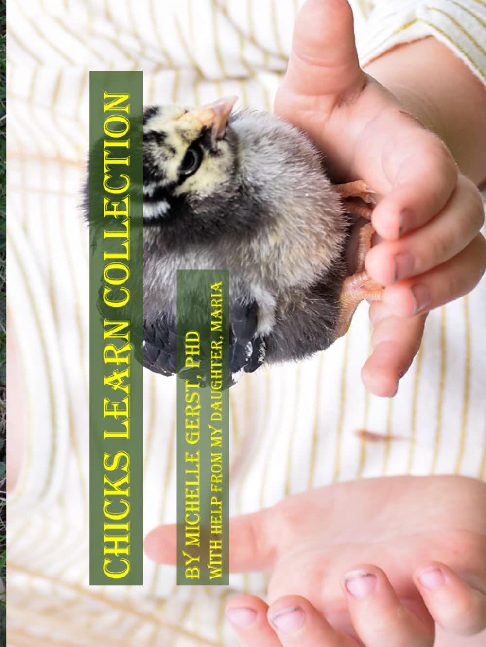 Chicks Learn Collection: Includes Chick and me, learn ABCs, Chicks and me, learn colors, and Chicks on sticks learn 1, 2, 3, Mathematics