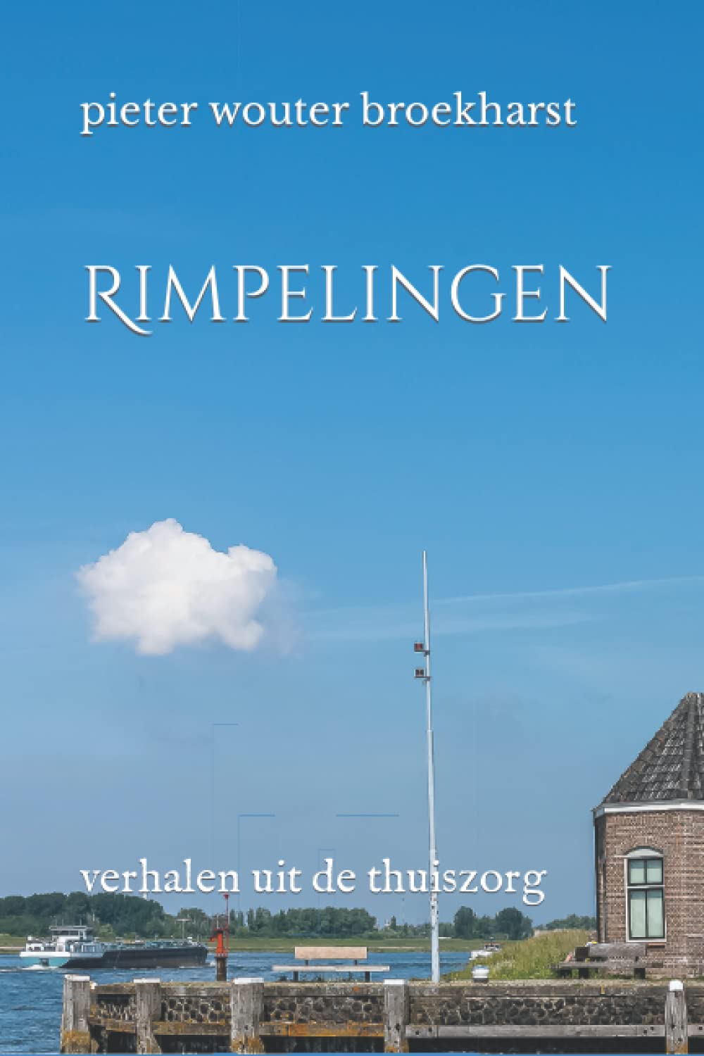 Rimpelingen: verhalen uit de thuiszorg book