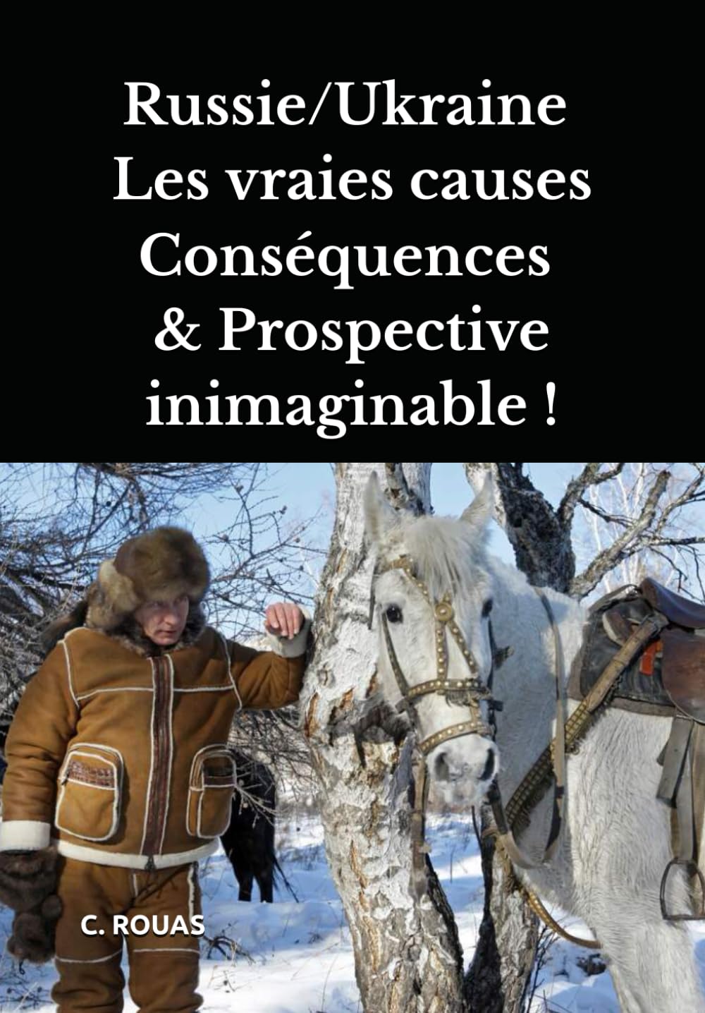 Russie versus Ukraine - Mensonges et Prospective: Planifications secrètes - Mondialisme - Guerre des monnaies - Great Reset book