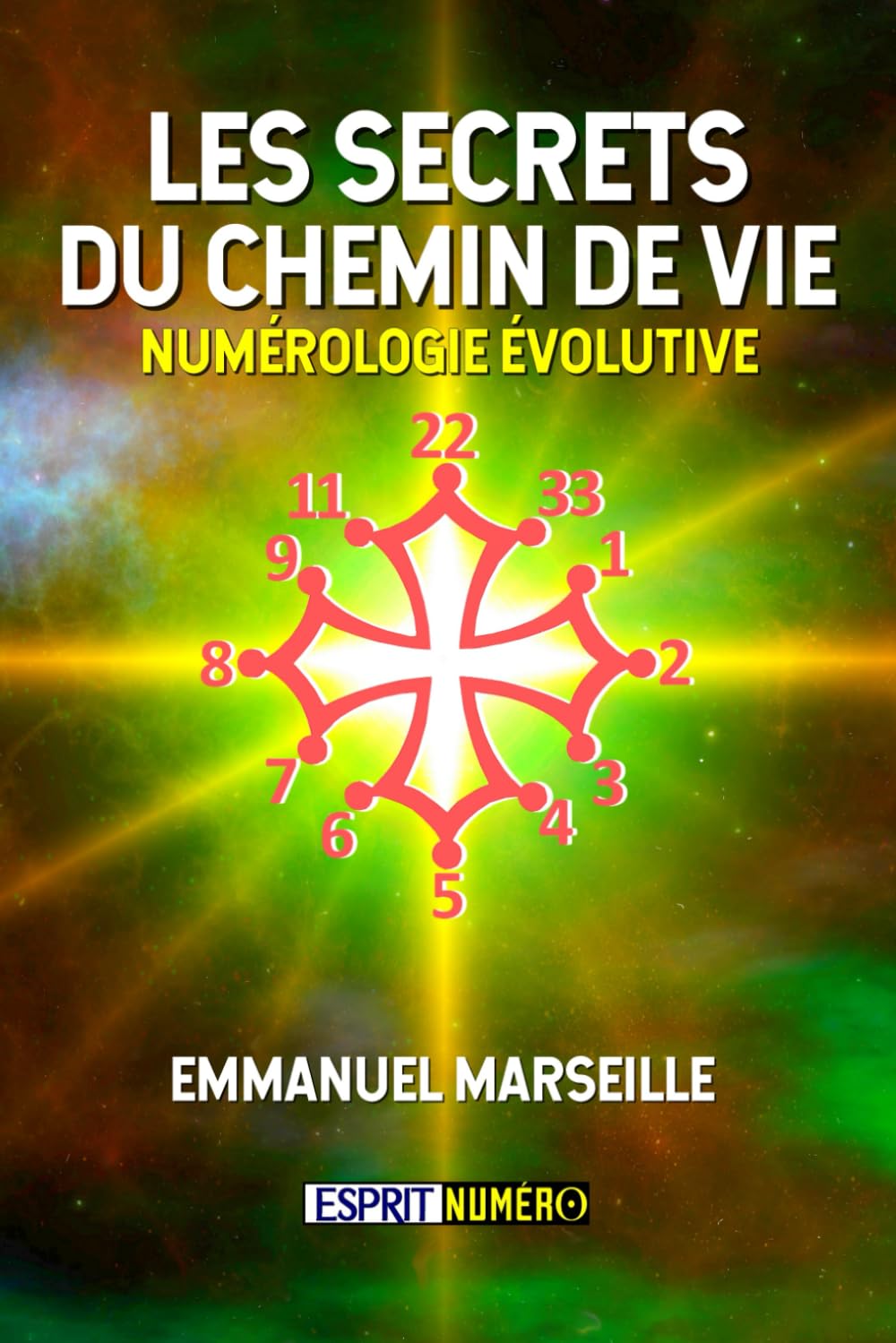 Les Secrets du Chemin de vie: Numérologie Evolutive book