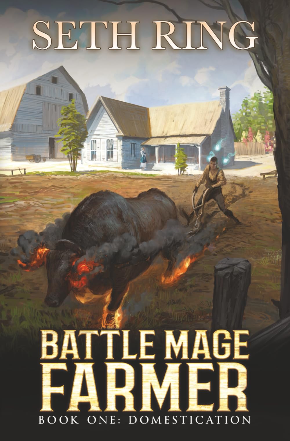 Domestication: A Fantasy LitRPG Adventure (Battle Mage Farmer, Band 1) Contemporary literature