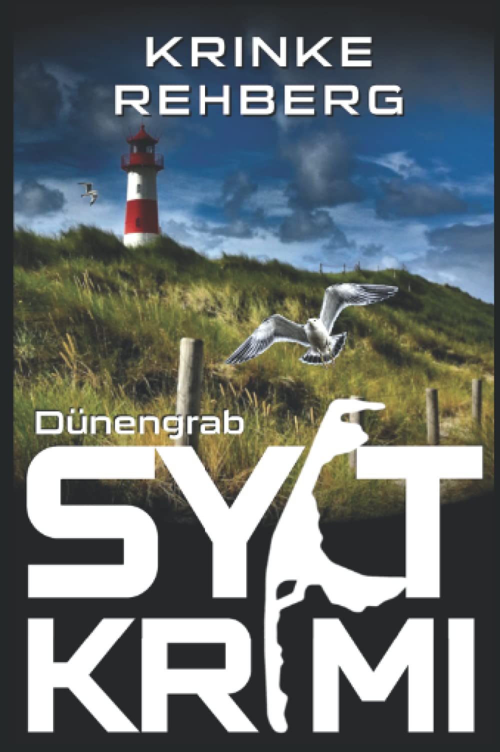 SYLTKRIMI Dünengrab: Bente Brodersen ermittelt - Küstenkrimi (Nordseekrimi) Social Sciences