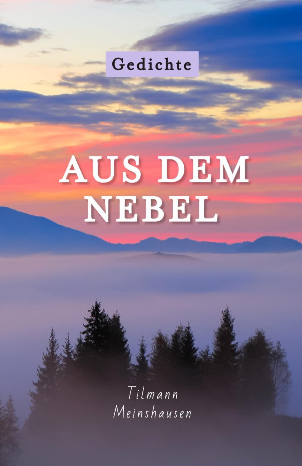 Aus dem Nebel: Gedichte über die Farben des Lebens book