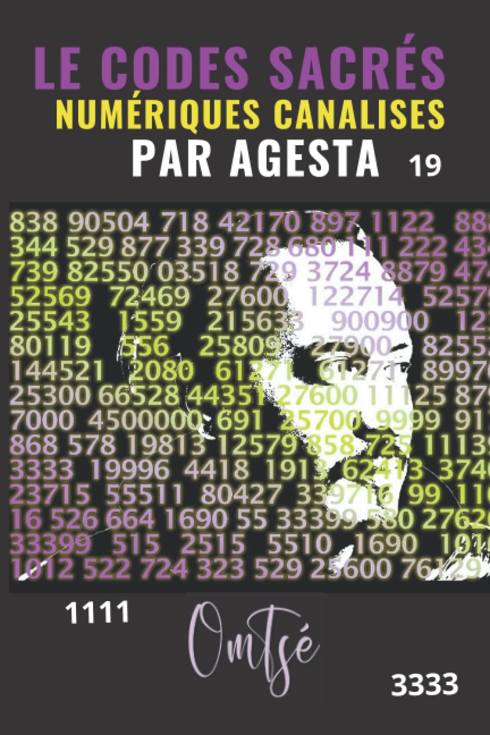 Les Codes Sacrés Numériques Canalises par Agesta book