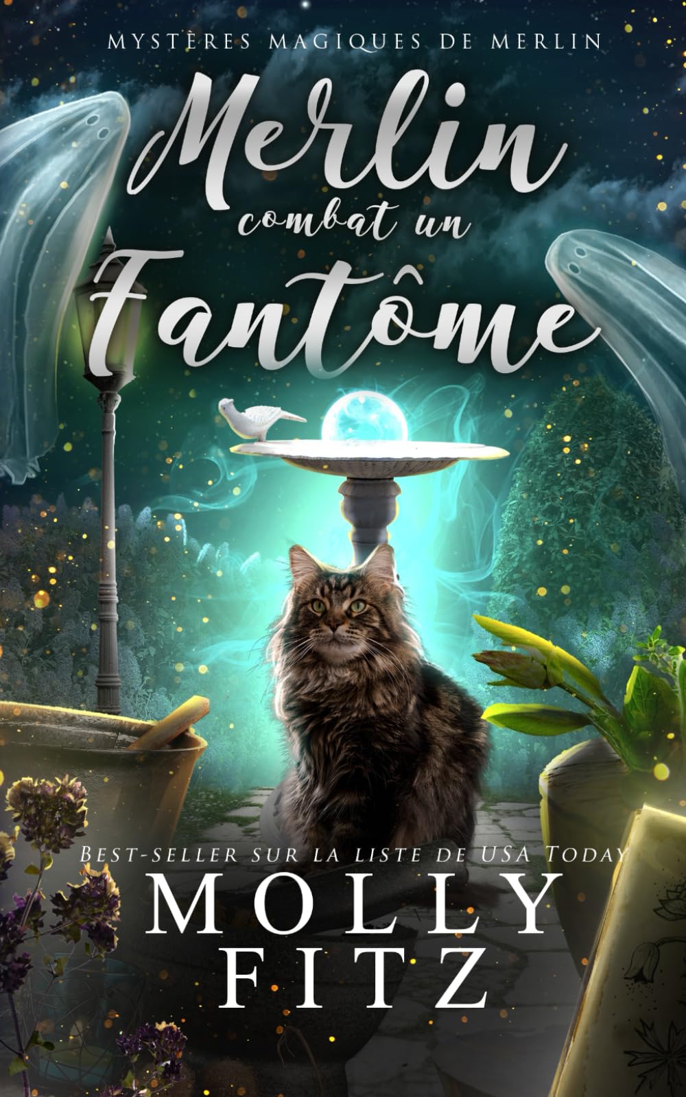 Merlin combat un fantôme (Mystères Magiques de Merlin) book