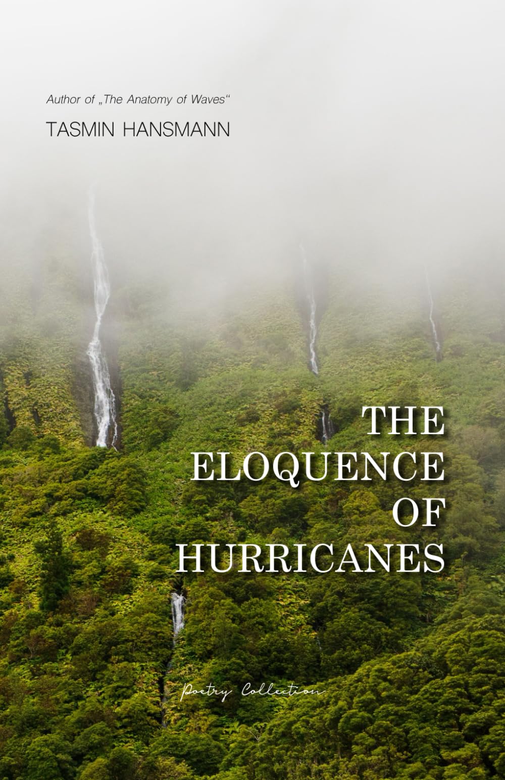 The Eloquence of Hurricanes: A poetry collection on climate change, hope and the darkness of the soul (Island Elements, Band 2) Poetry