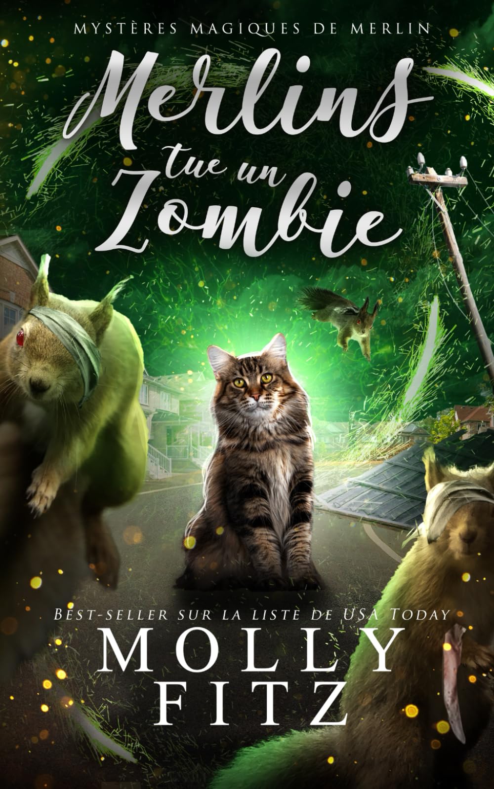 Merlin tue un zombie (Mystères Magiques de Merlin, Band 3) Detective & CSI