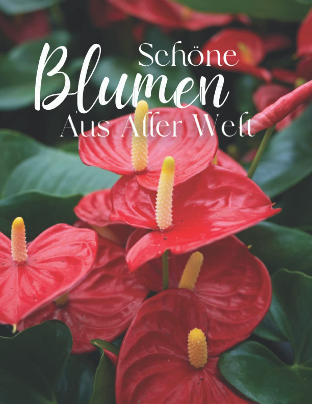 Schöne Blumen As Aller Welt: Die Fotografie von Schöne Blumen für Demenz, Senioren und Alzheimer, (Bilderbuch). Non-fiction