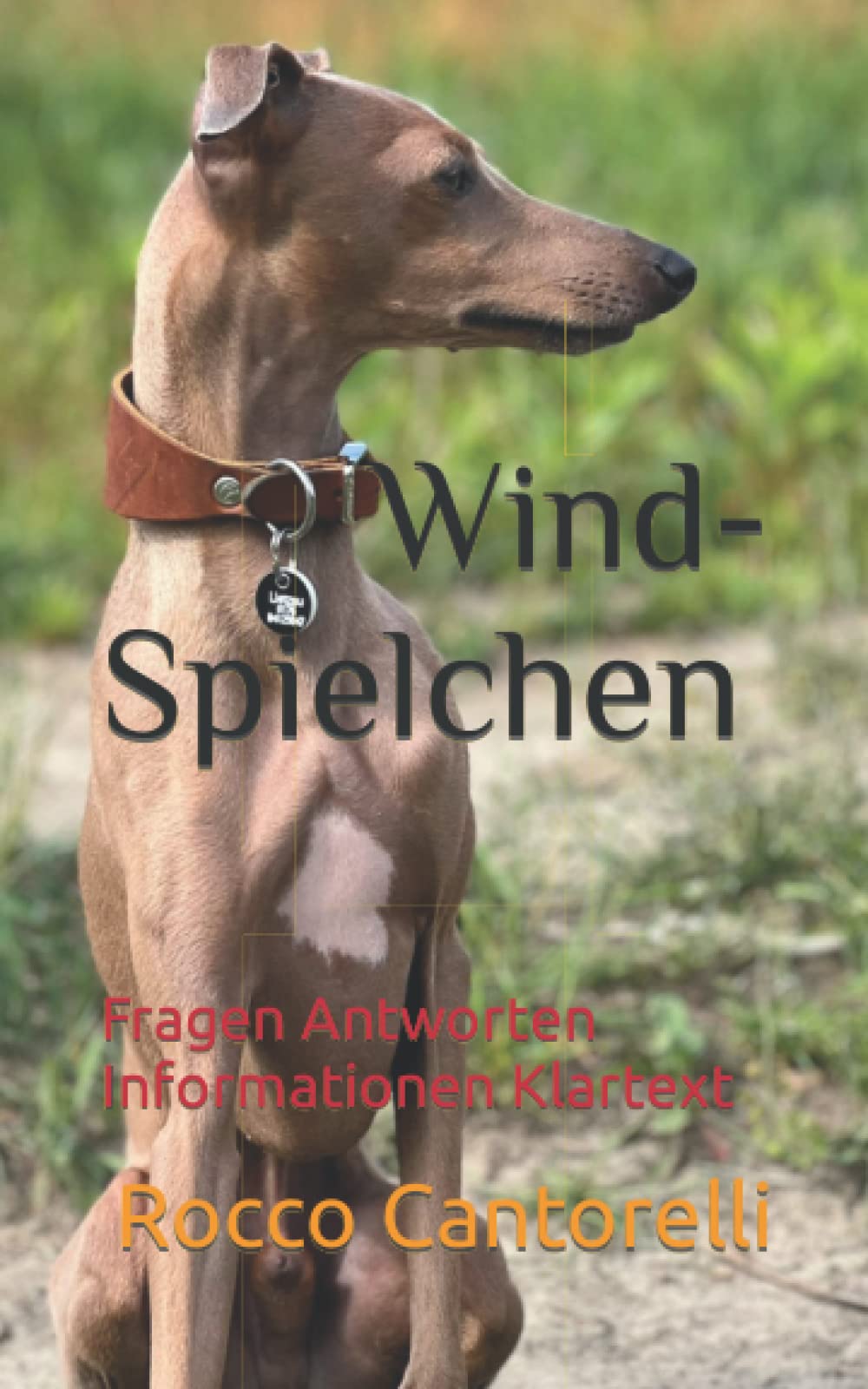 Wind-Spielchen: Fragen Antworten Informationen Klartext Pets