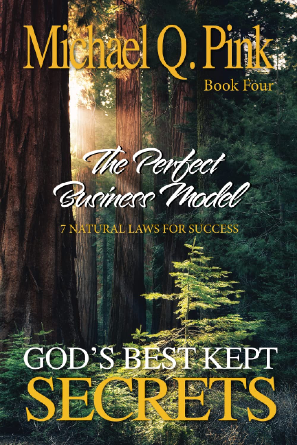 God's Best Kept Secrets - Book 4: The Perfect Business Model Business, Finance & Career