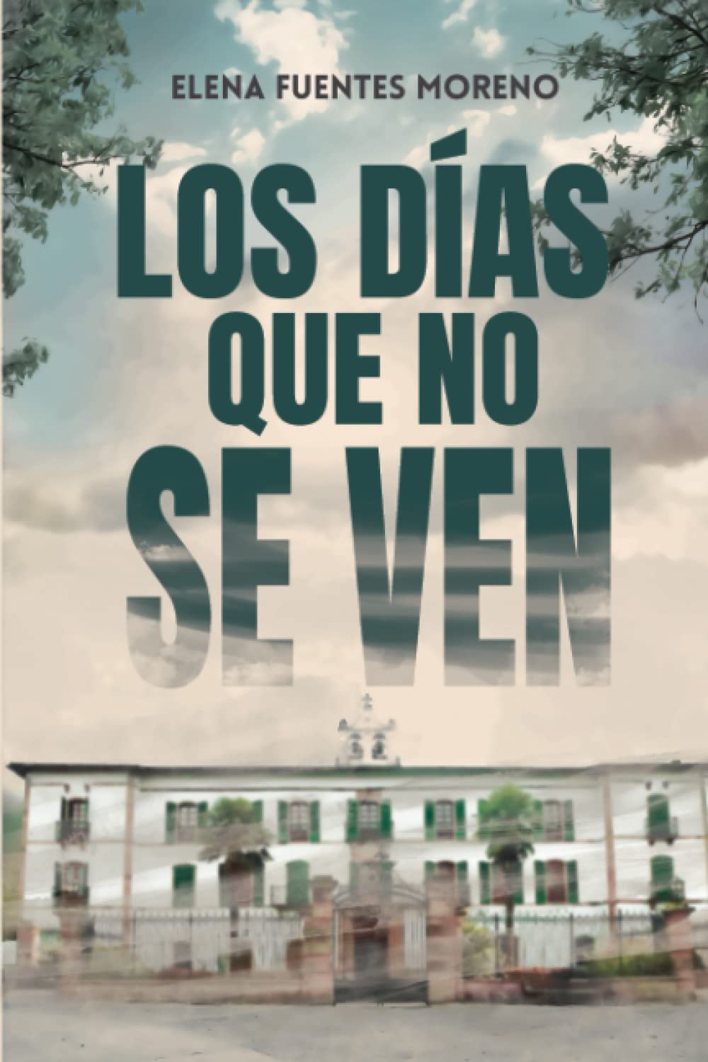 Los días que no se ven book
