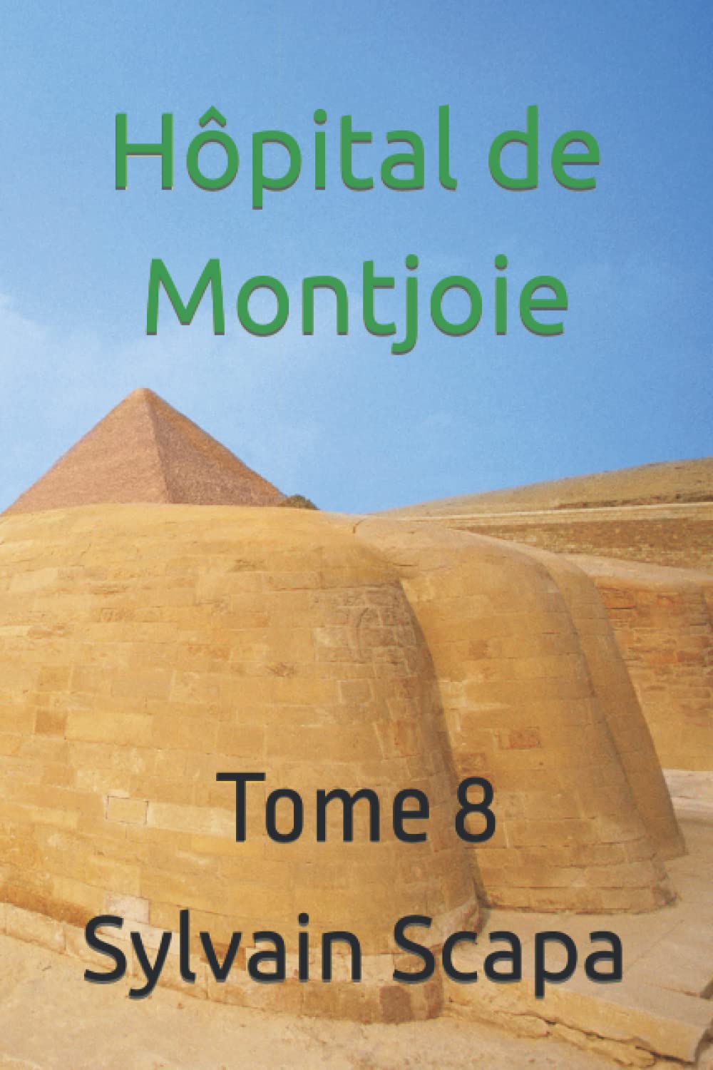 Hôpital de Montjoie: Tome 8 book