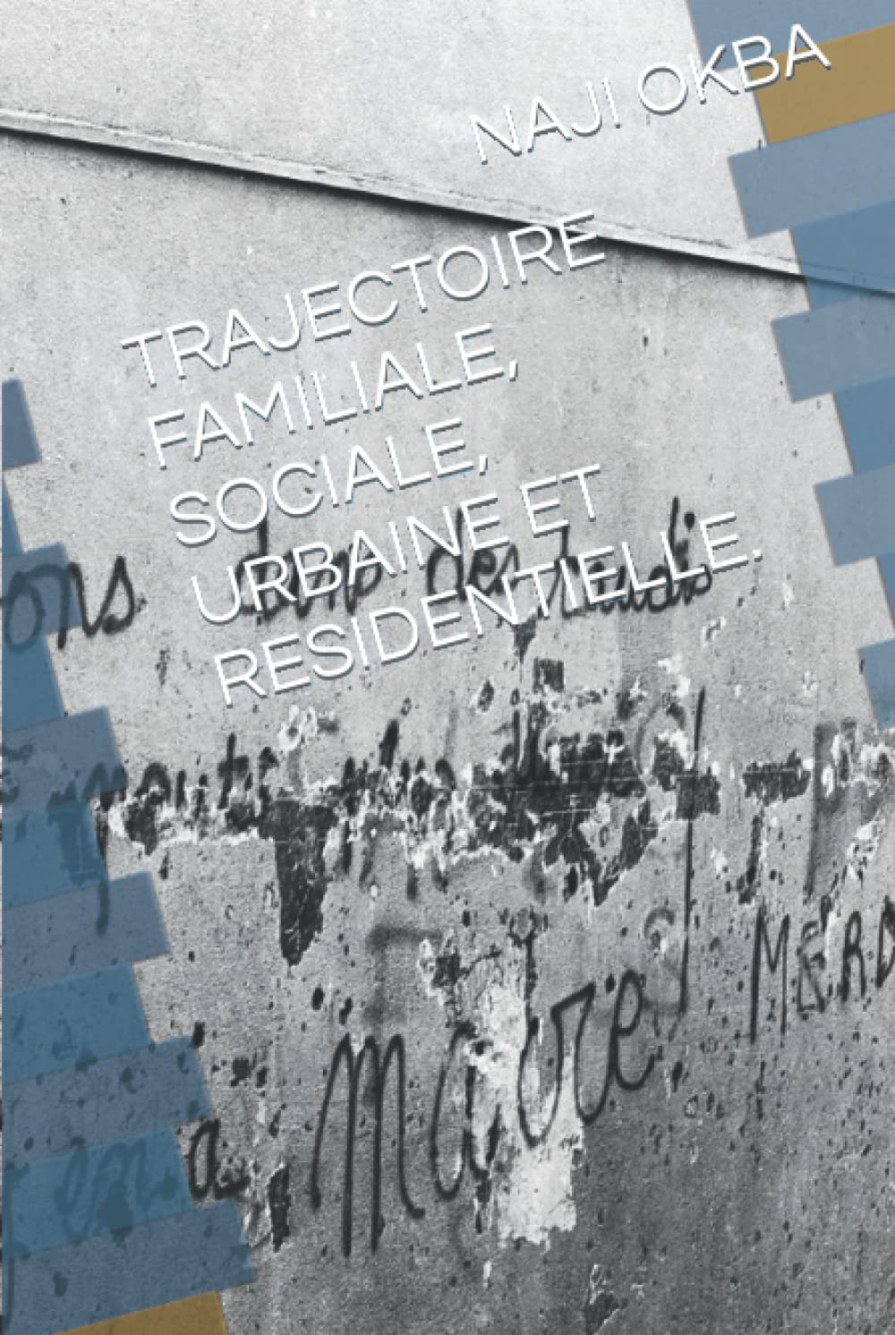 TRAJECTOIRE FAMILIALE, SOCIALE, URBAINE ET RESIDENTIELLE. book