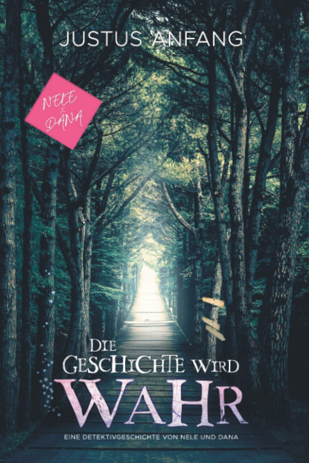 Die Geschichte wird wahr: Ein Nele & Dana - Roman (Nele und Dana: Kinderroman ab 8 Jahre, Band 3) Detective & CSI