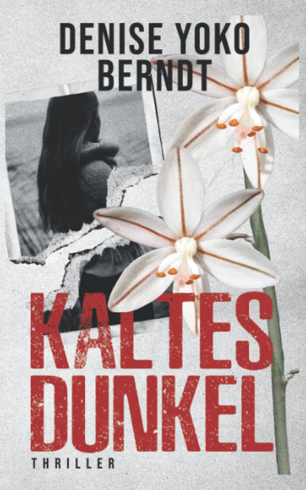 Kaltes Dunkel (Amber Fearns London-Thriller, Band 7) Contemporary literature