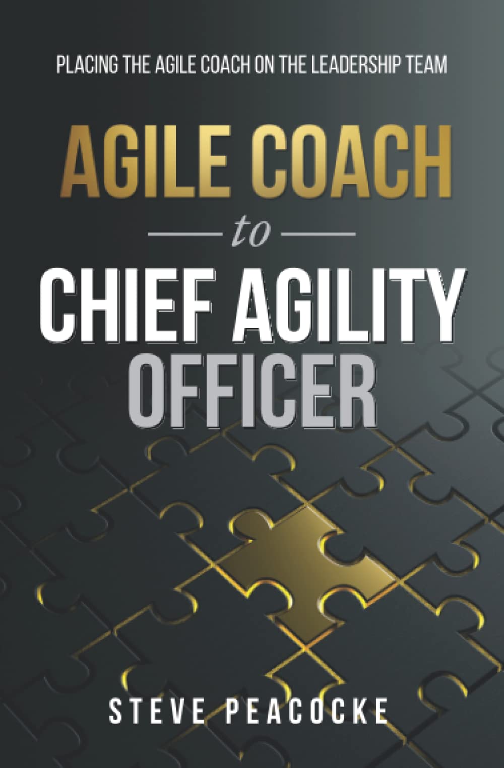 Agile Coach to Chief Agility Officer: Placing the agile coach on the leadership team book