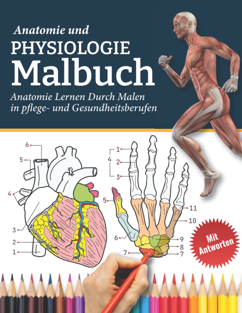 Anatomie und Physiologie Malbuch - Anatomie Lernen Durch Malen in pflege- und Gesundheitsberufen (Mit Antworten): Anatomie und Physiologie. ... | arbeitsbuch anatomie komplett book