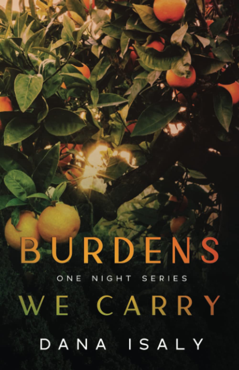 Burdens We Carry (One Night Series, Band 3) Eroticism