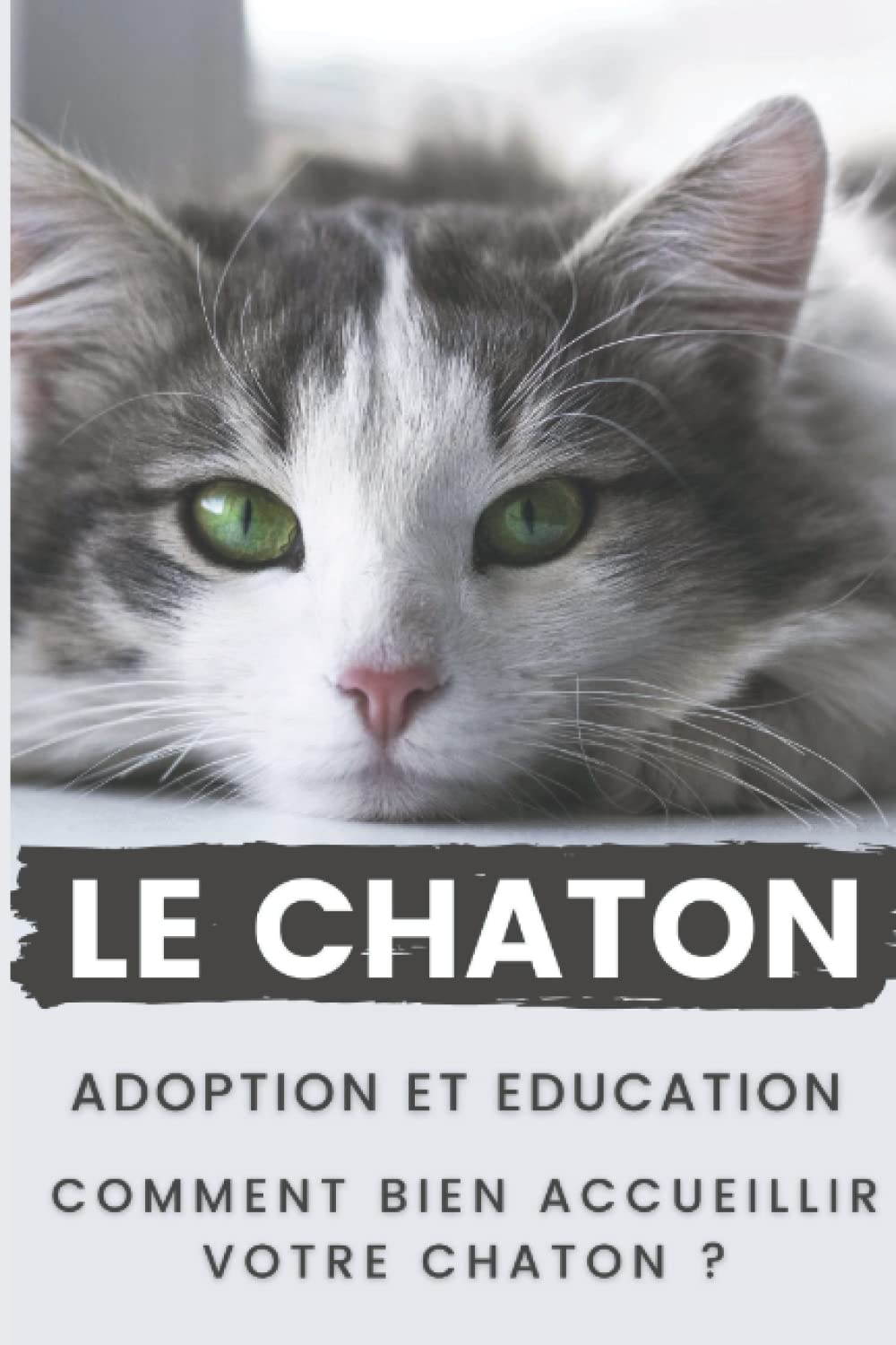 Le Chaton : Adoption et Education Comment Bien Accueillir votre Chaton: Ce guide sur le chaton vous donne des conseils sur l'arrivée de votre Chaton, le guide du chaton les différentes étapes Pets