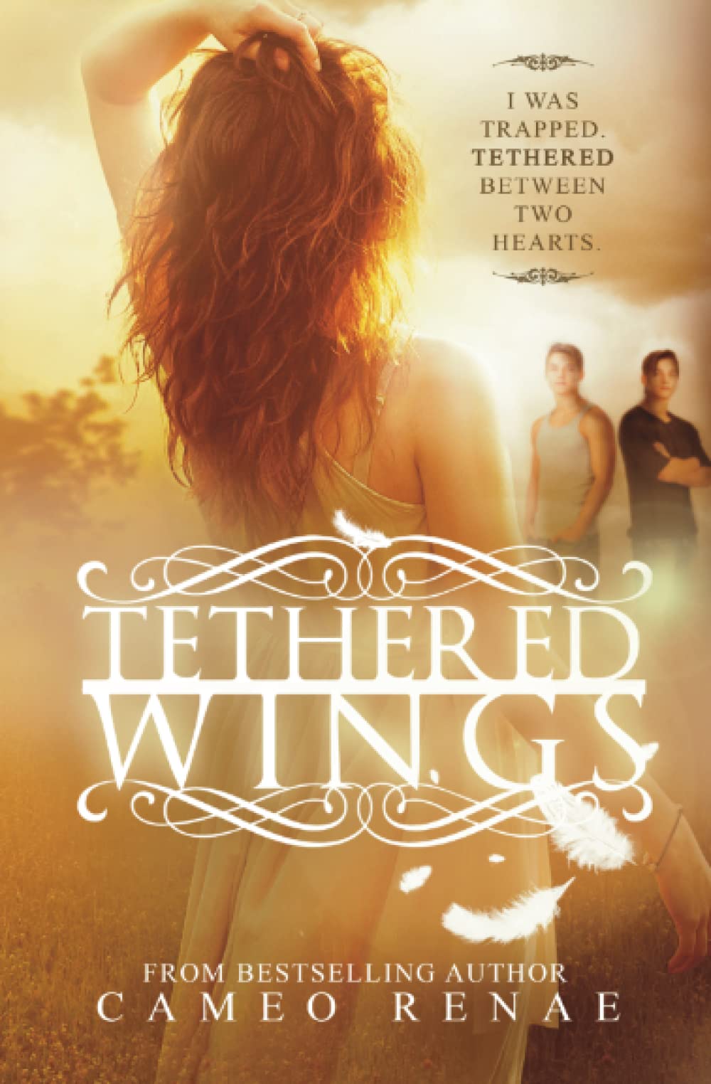 Tethered Wings (Hidden Wings Series Book Three) Novels & Short Stories